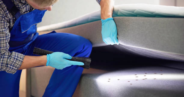 Best Pest Control for Homes  in Cotulla, TX