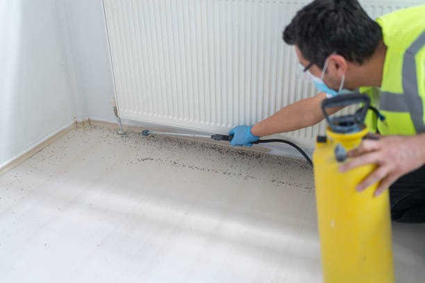 Best Emergency Pest Control  in Cotulla, TX