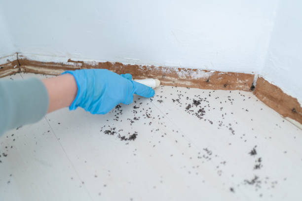 Cotulla, TX Pest Control Company