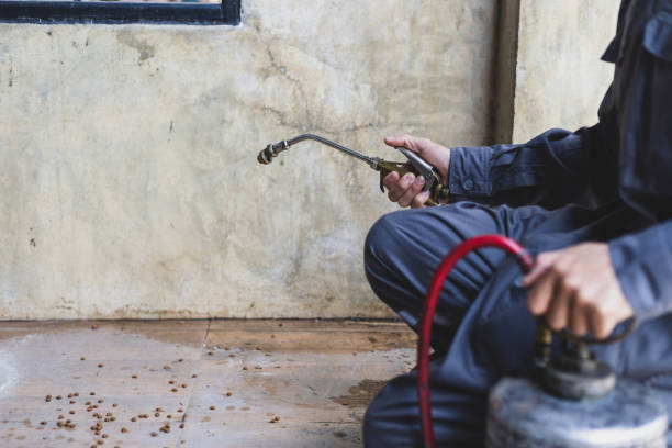  Cotulla, TX Pest Control Pros