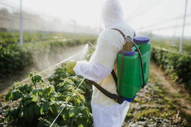Best Best Pest Control Companies  in Cotulla, TX